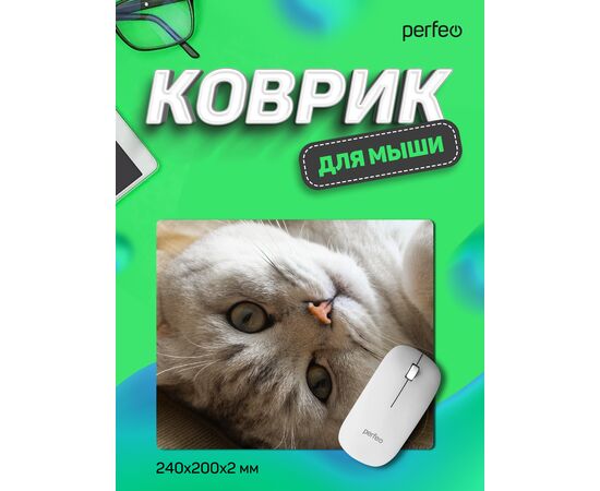  Коврик для компьютерной мыши "Cat", Рис.16 (240*200*2 мм), ткань+резиновое основание 