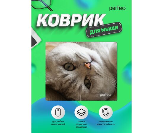  Коврик для компьютерной мыши "Cat", Рис.16 (240*200*2 мм), ткань+резиновое основание 