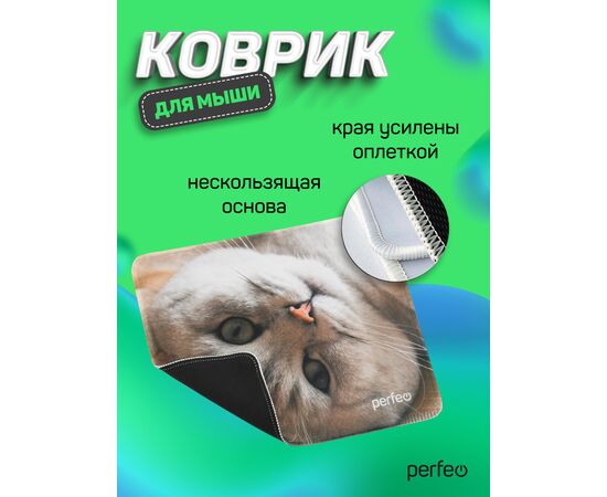  Коврик для компьютерной мыши "Cat", Рис.16 (240*200*2 мм), ткань+резиновое основание 