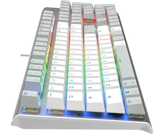  Клавиатура A4Tech Fstyler FS100 Neon серый/белый 